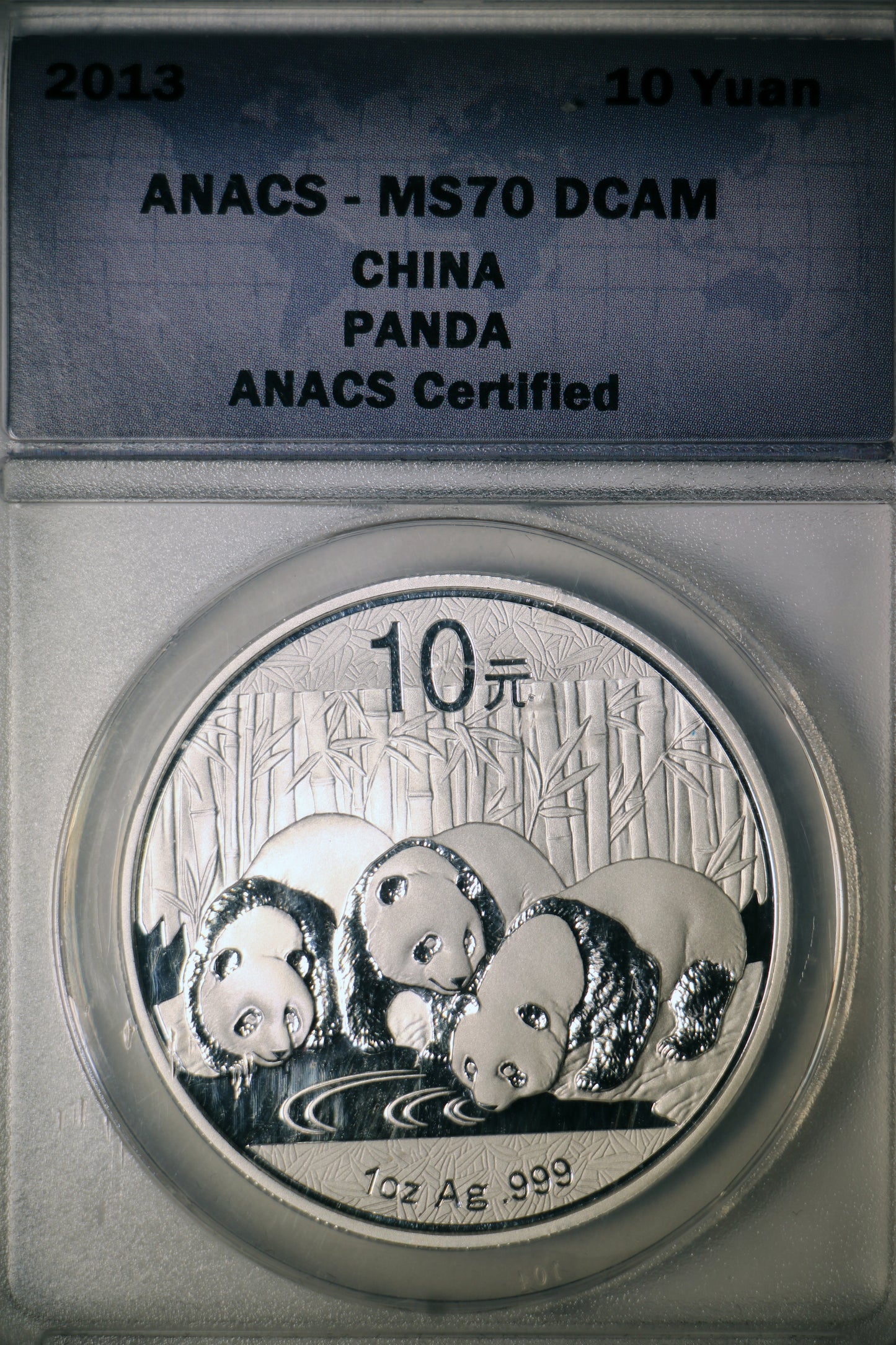 2013 ANACS MS70 DCAM 10 Yuan Chinese Panda 1oz .999 Silver