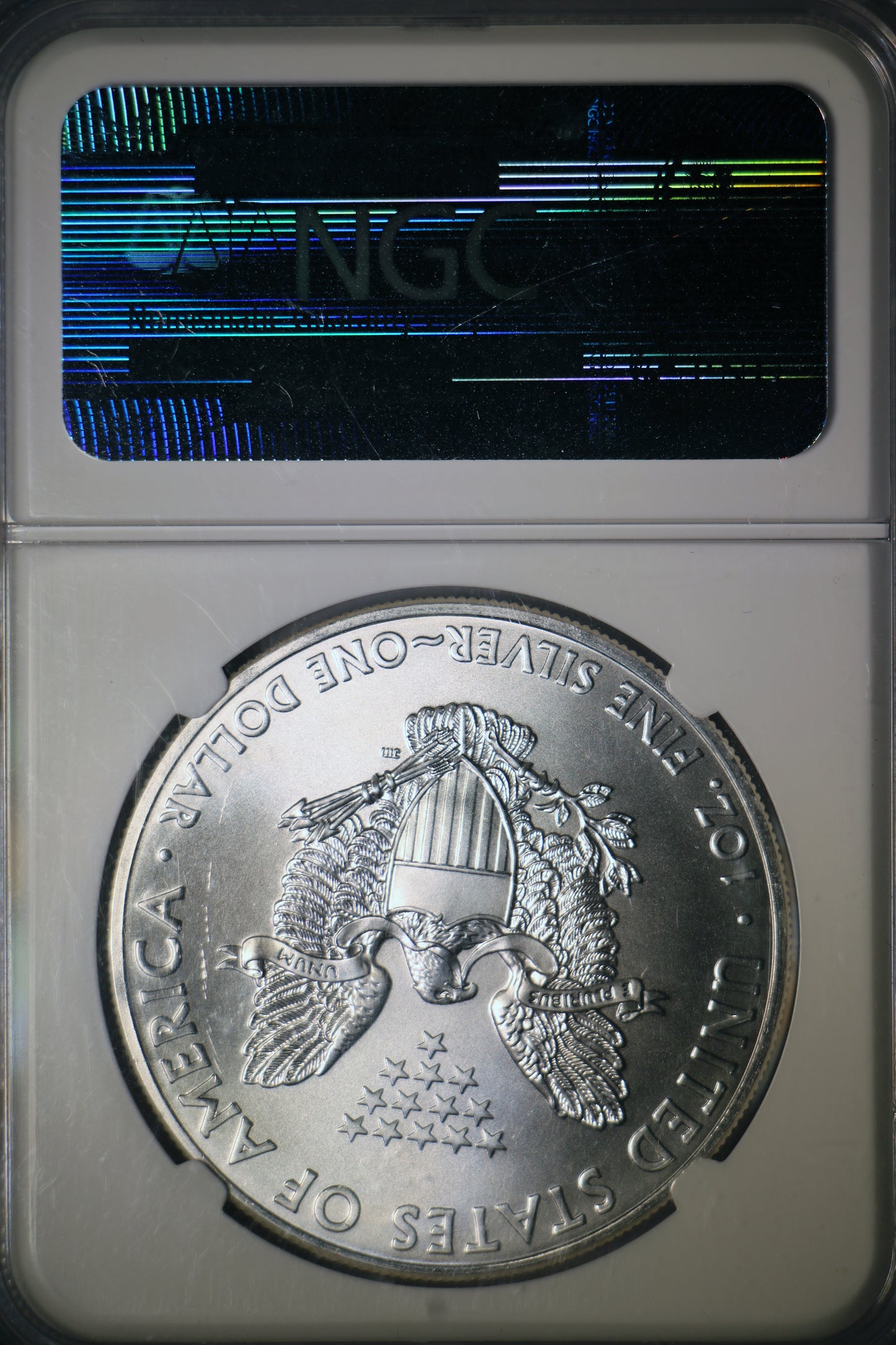 2013 NGC MS69 American Silver Eagle First Releases Blue Label