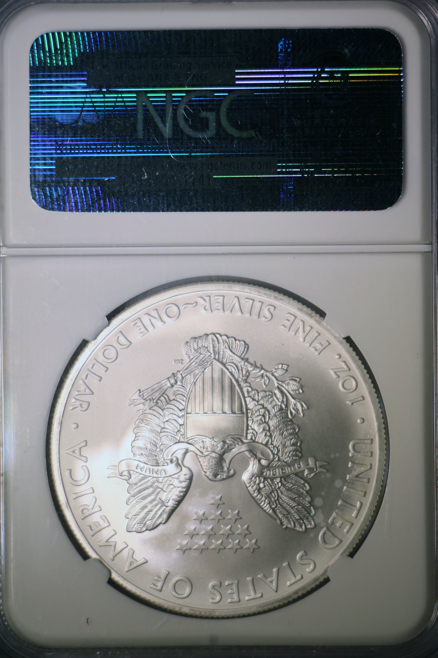 2013 NGC MS70 American Silver Eagle First Releases Eagle Label